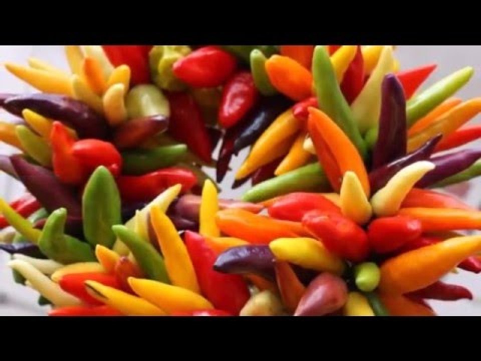Ömür Uzatan 14 Gıda Nedir ?