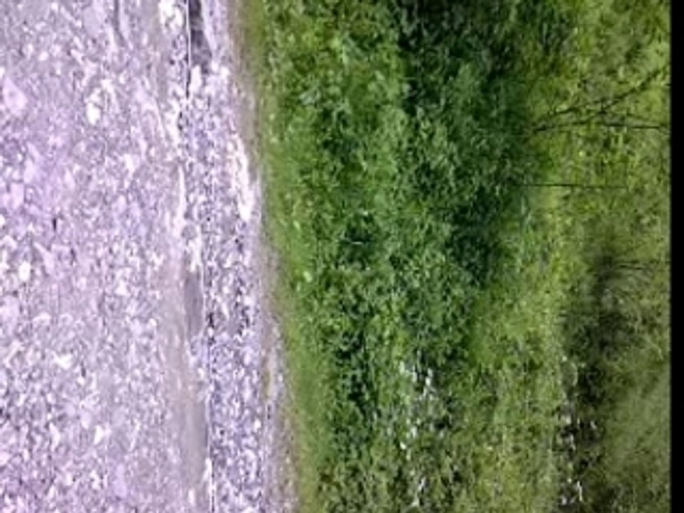 °OoO°BRICE DE BOIS°OoO°