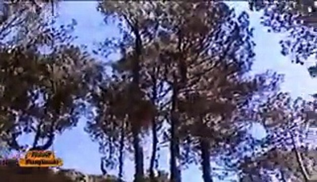 Waheed Murad Shabnam Pakistani VIDEO BY JAMAT ALI REHMANI