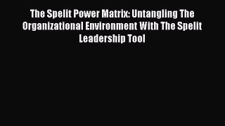 [Read book] The Spelit Power Matrix: Untangling The Organizational Environment With The Spelit