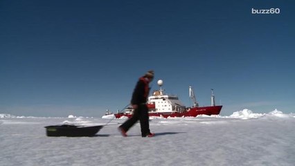Officials May Overrule "Boaty McBoatface" as Name of $300 Million Research Vessel