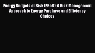 Read Energy Budgets at Risk (EBaR): A Risk Management Approach to Energy Purchase and Efficiency