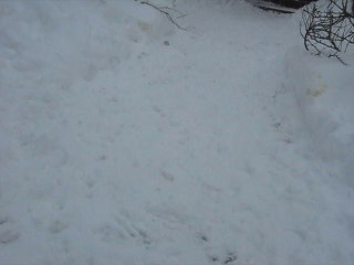 Mama's Little Helper