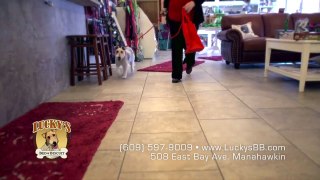 Lucky's Bed and Biscuit - Comcast Commercial