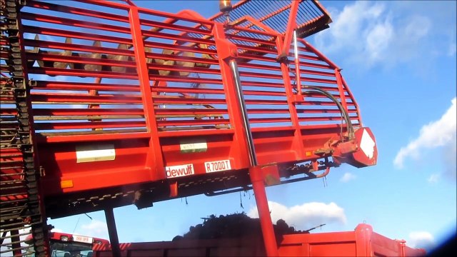 Dewulf R 7000 T bieten rooien 2012 - Vandenbulcke uit Bellegem