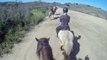 Icelandic horses tolting, Kimberly Hart on Disa, Sabrina Drake on Raudi