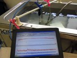 超音波「音圧測定装置（超音波テスター）」の実験動画　ultrasonic-labo