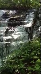 West Meade Waterfall 4/21/13 After Rain, by Susan Castle