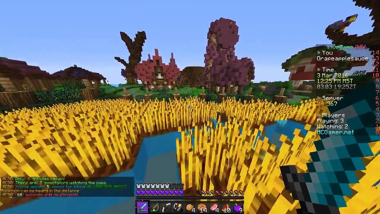 Minecraft Hunger Games: Game 385 TARGETED!