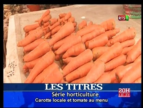 Journal Télévisé de la RTS1 du Lundi 18 Avril 2016 (Édition du soir)