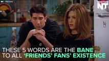 David Schwimmer Isn't Sure If Ross & Rachel Were On A Break
