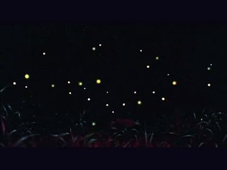 Grave of the fireflies + Harry potter AMV: FireFlies by Owl City