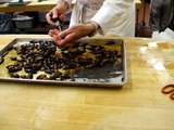 Cockroaches being injected