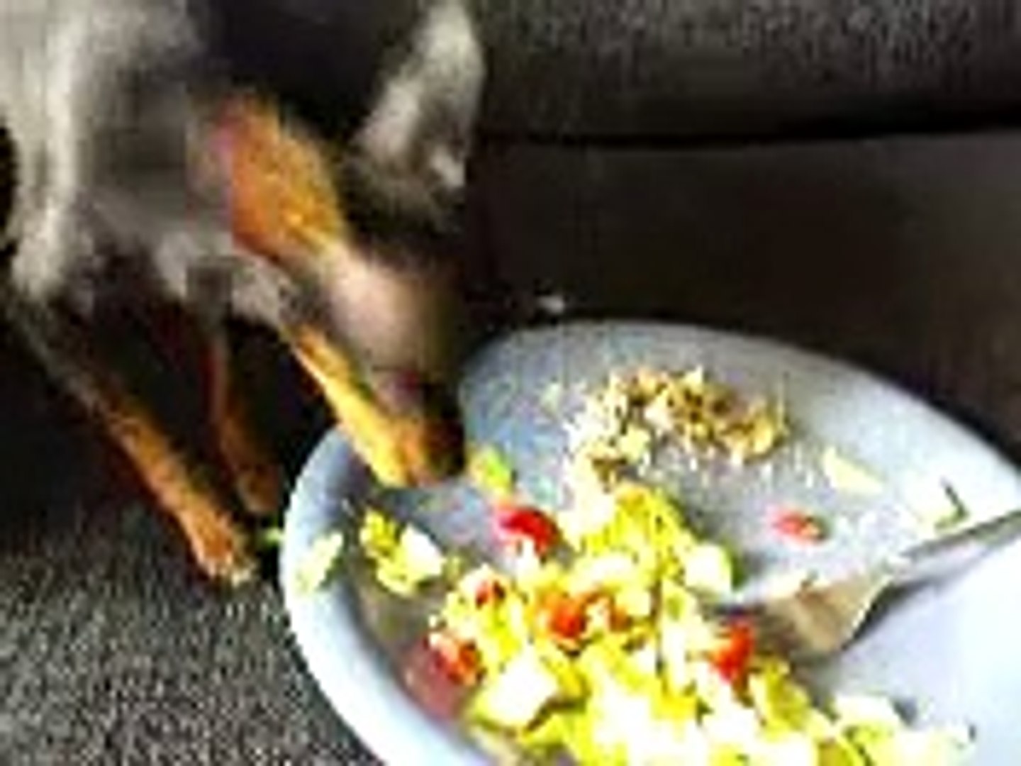 Tyson käkar sallad, mums