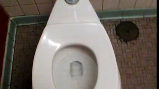 School toilet prank