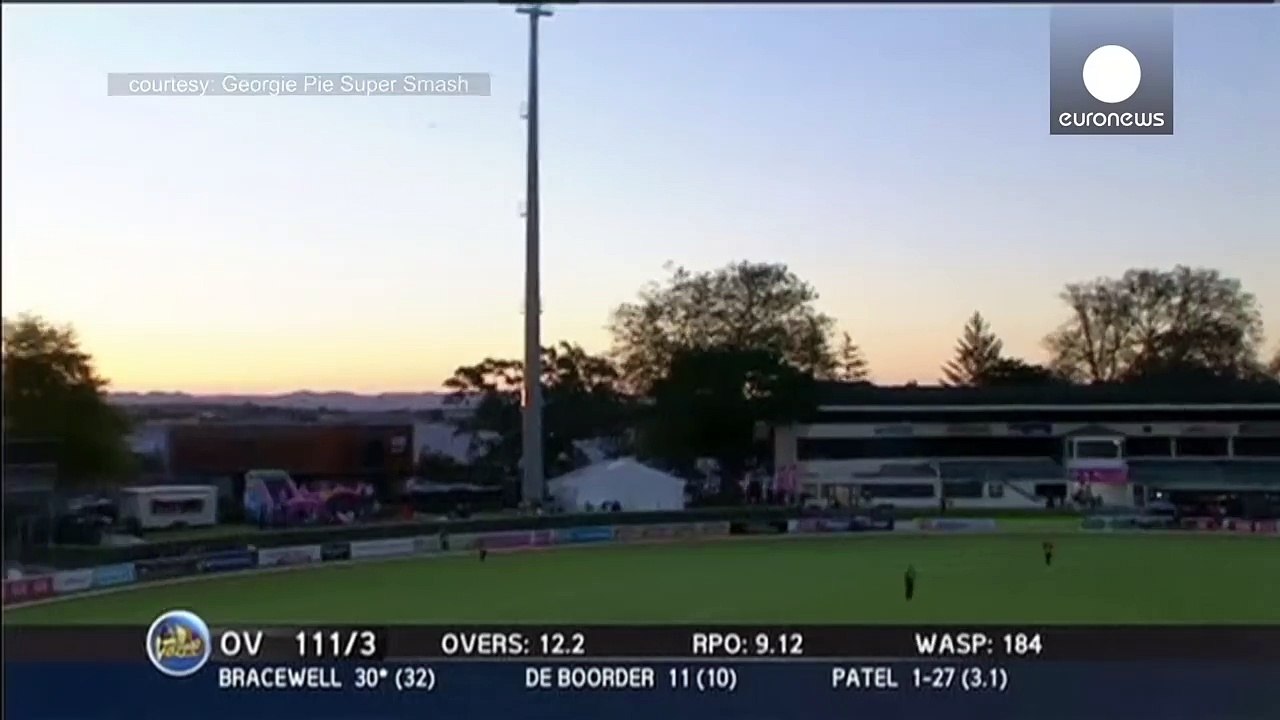 Cricket fan makes incredible $4000 catch