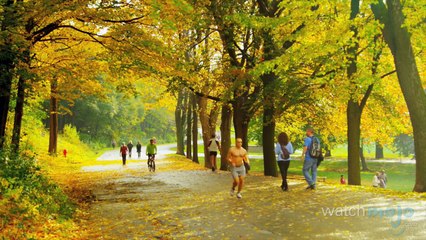 Top 5 Facts about Leap Years