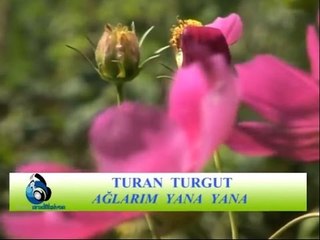 Turan Turgut - Ağlarım Yana Yana