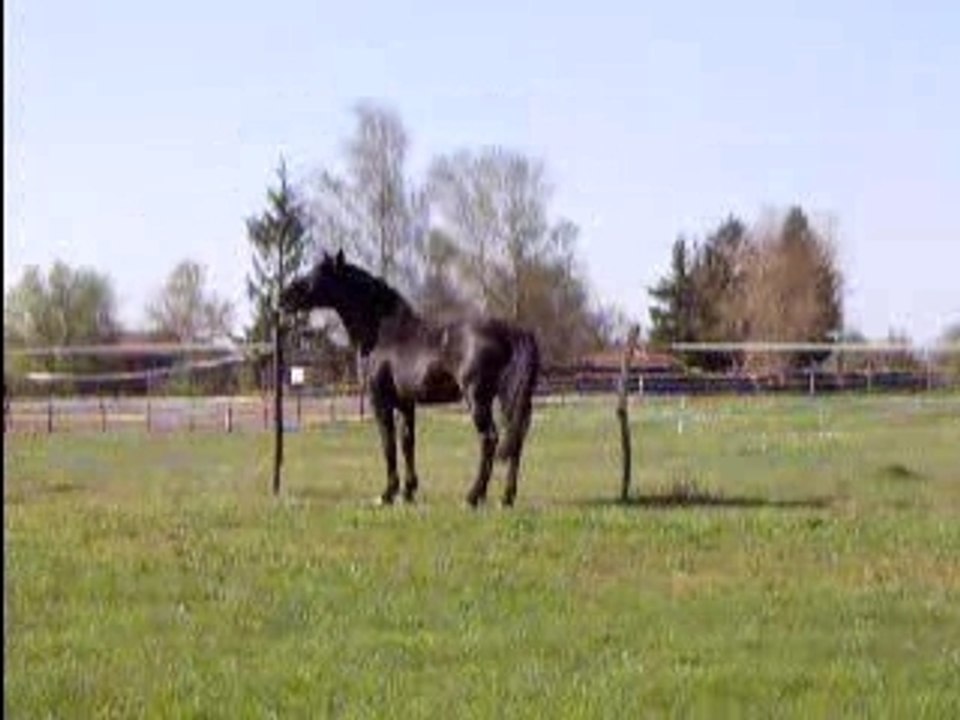 HPIM1730