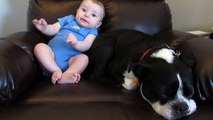 Dog Runs Away When Baby Poops