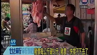 世新新聞 豬價每公斤破50元 豬農：快撐不下去了