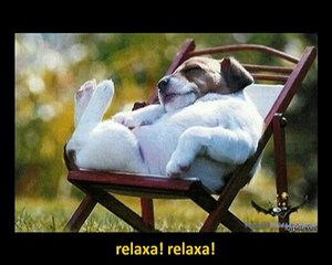 Paródia - da música "ai se eu te pego" sobre livros.