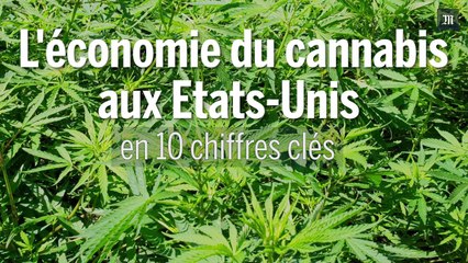 Download Video: Etats-Unis : l'économie du cannabis en 10 chiffres