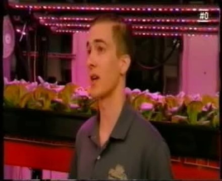 Agricultura vertical: Cultivos LED sin luz solar