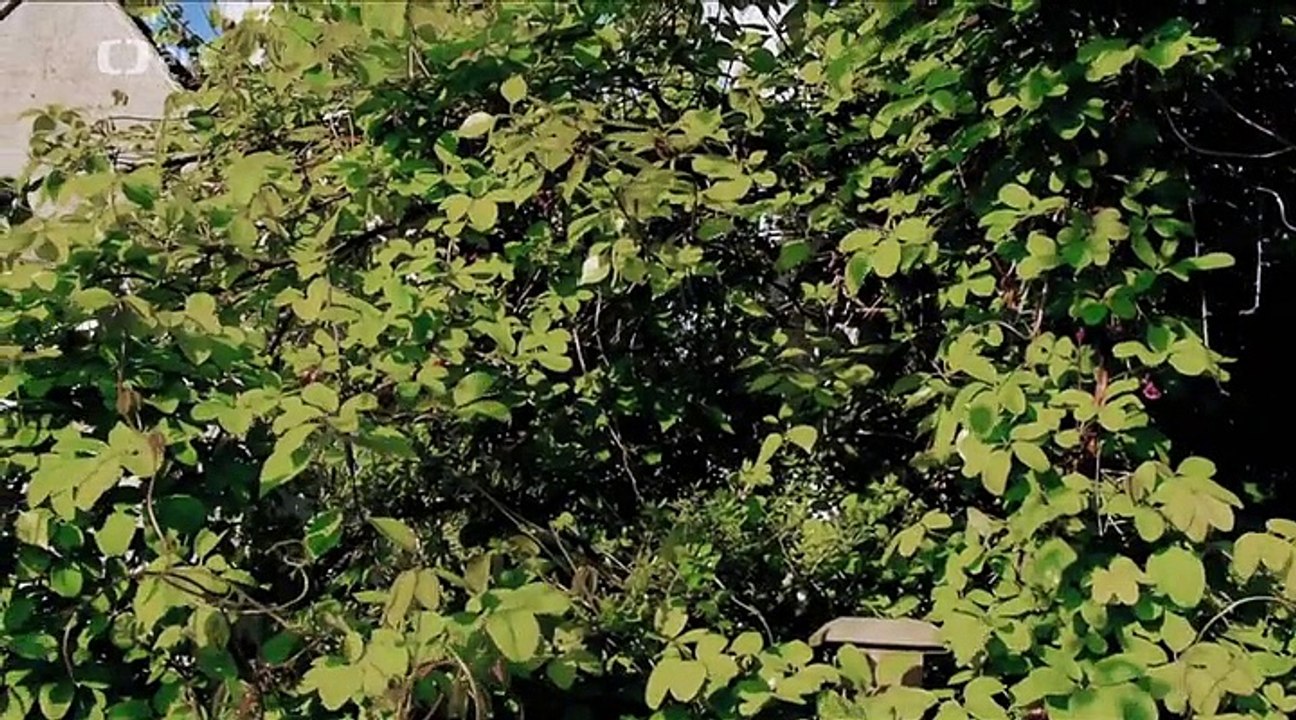 J. R. R. Tolkien -dokument (www.Dokumenty.TV) cz / sk