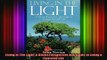 Read  Living In The Light A Divine Perspective and Guide to Living a Peaceful Life  Full EBook