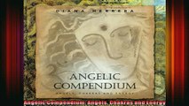Read  Angelic Compendium Angels Chakras and Energy  Full EBook