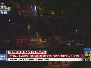 Woman and dog found unconscious in Scottsdale home