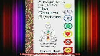 Read  A Beginners Guide to the Chakra System  Full EBook