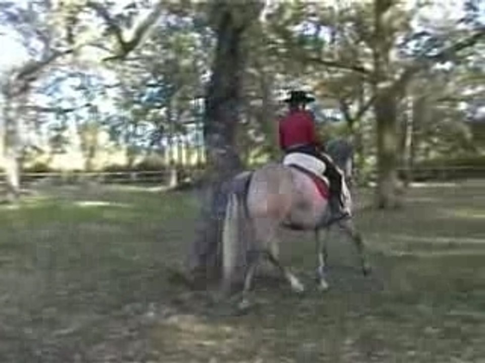 Infanta et celia 2002