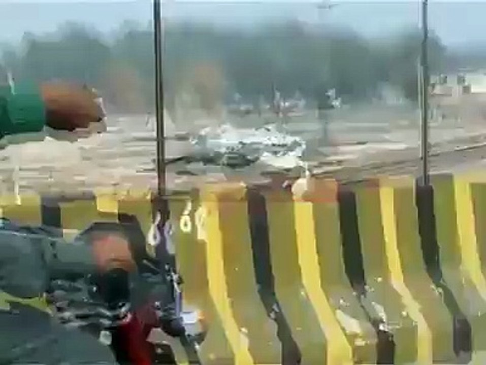 Amazing Pigeon Trainer