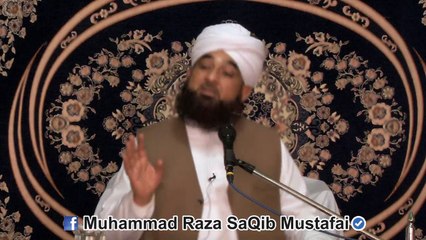 Ye Shan Hai KhidmatGaaro Ki, SARKAAR Ka Aalam Kya Hoga