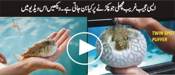 Allah Ki Qudrat Ka Karishma