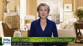 Northridge Furniture Cleaning - Delta Chem-Dry Terrific Five Star Review by Gail H.