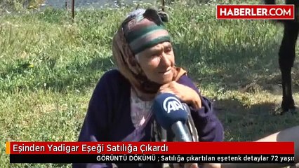 Eşinden Yadigar Eşeği Satılığa Çıkardı