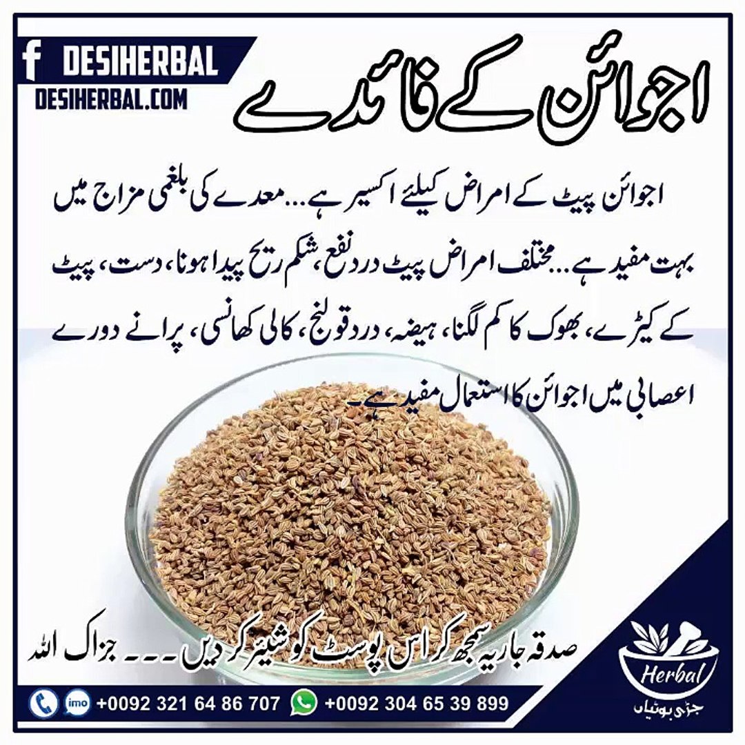 Ajwain Ke Fayde For Weight Loss In Urdu Blog Dandk
