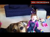 funny videos, when babies and puppies come together haha
