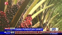 Kuartal I 2016, Dana Pungutan Sawit Capai Rp 2,8 Triliun