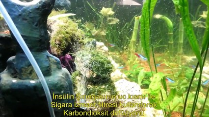 DIY Co2 Diffuser (El yapımı karbondioksit defüzyon sistemi)