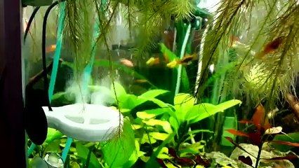 ZTS ZaferTwinstar desing by Zafer ÜLGÜR