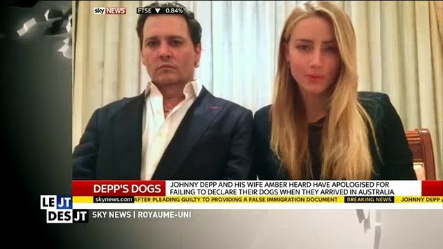 Johnny Depp et Amber Heard présentent leurs excuses pour avoir introduits leurs chiens en Australie - Regardez