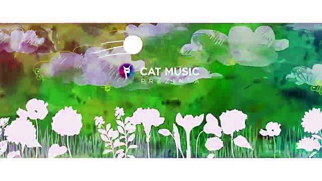 Andreea Banica feat. Adrian Sina - Flori de Busuioc (Graphic Video)