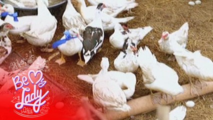 Be My Lady: Ever, Lasting, and Love