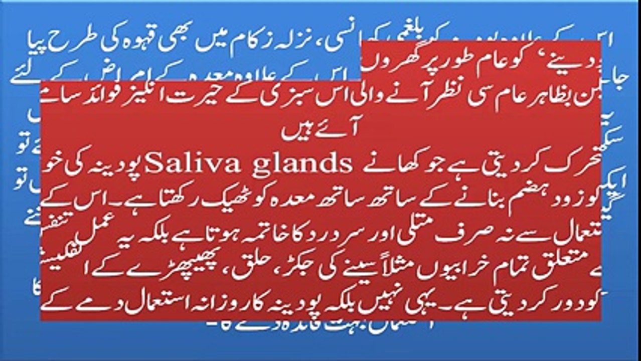 Pudina ke Faide Benefits and Uses of Mint Leaves in urdu پودینہ کے فوائد