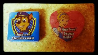  DISNEY GROW MAGIC TOWELS PRINCES AND  CHASY FROM PAW PATROL