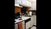 Kitchen Interior In Saturated Orange Color
